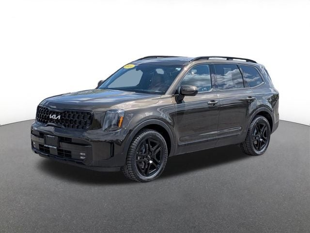 2024 Kia Telluride — detail view